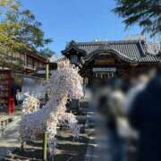 ヒメ日記 2026/01/02 12:49 投稿 かすみ 木更津人妻花壇