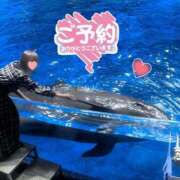 ヒメ日記 2026/01/16 13:33 投稿 かすみ 木更津人妻花壇