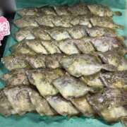 ヒメ日記 2026/01/22 19:40 投稿 かすみ 木更津人妻花壇