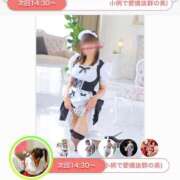 ヒメ日記 2026/01/31 09:45 投稿 かすみ 木更津人妻花壇