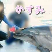 ヒメ日記 2026/02/13 00:18 投稿 かすみ 木更津人妻花壇