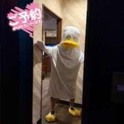 ヒメ日記 2026/02/17 14:06 投稿 かすみ 木更津人妻花壇