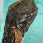 ヒメ日記 2026/03/01 17:16 投稿 かすみ 木更津人妻花壇