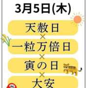 ヒメ日記 2026/03/05 06:06 投稿 かすみ 木更津人妻花壇