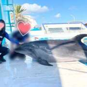 ヒメ日記 2026/03/06 20:19 投稿 かすみ 木更津人妻花壇