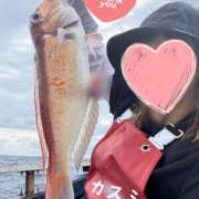 ヒメ日記 2026/03/15 20:45 投稿 かすみ 木更津人妻花壇