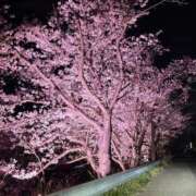 ヒメ日記 2026/04/02 22:23 投稿 かすみ 木更津人妻花壇