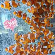 ヒメ日記 2026/04/08 20:41 投稿 かすみ 木更津人妻花壇