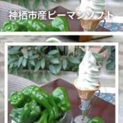 ヒメ日記 2026/04/09 05:28 投稿 かすみ 木更津人妻花壇