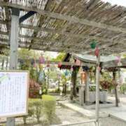 ヒメ日記 2026/04/09 11:42 投稿 かすみ 木更津人妻花壇