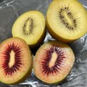 ヒメ日記 2026/04/11 06:07 投稿 かすみ 木更津人妻花壇