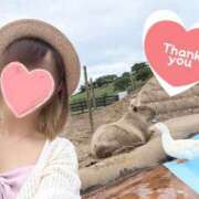 ヒメ日記 2026/04/13 22:09 投稿 かすみ 木更津人妻花壇