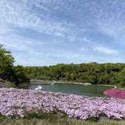 ヒメ日記 2026/04/19 15:40 投稿 かすみ 木更津人妻花壇