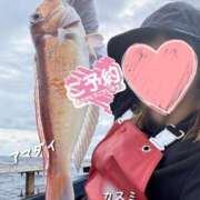 ヒメ日記 2026/05/02 10:46 投稿 かすみ 木更津人妻花壇