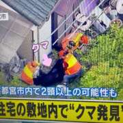 かすみ もどったクマー(՞•̅㉦•̅՞) 木更津人妻花壇