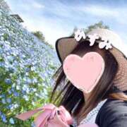 ヒメ日記 2026/06/13 08:16 投稿 かすみ 木更津人妻花壇