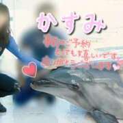 ヒメ日記 2026/08/10 14:48 投稿 かすみ 木更津人妻花壇