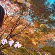 ヒメ日記 2026/10/24 23:25 投稿 かすみ 木更津人妻花壇