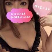ヒメ日記 2026/05/12 08:31 投稿 ミスズ バニーコレクション新潟店