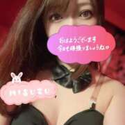 ヒメ日記 2026/06/15 08:30 投稿 ミスズ バニーコレクション新潟店