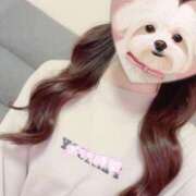 ヒメ日記 2024/12/29 09:25 投稿 るり DOLCE