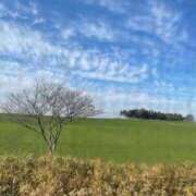 ヒメ日記 2025/04/19 10:12 投稿 平井こはる 五十路マダム 浜松店(カサブランカグループ)