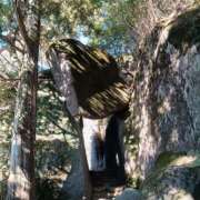 ヒメ日記 2025/01/28 10:40 投稿 ひびき 若妻淫乱倶楽部