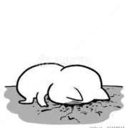 ヒメ日記 2025/06/28 09:05 投稿 もね♡極上SPコース♡ PANTHER（パンサー）