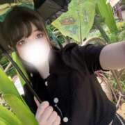 ヒメ日記 2025/07/14 14:25 投稿 もね♡極上SPコース♡ PANTHER（パンサー）