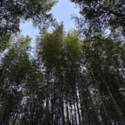 ヒメ日記 2026/03/11 10:28 投稿 おと 品川ハイブリッドマッサージ