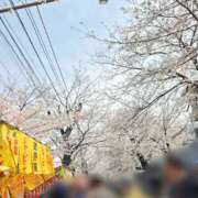 ヒメ日記 2025/04/05 18:13 投稿 ひより 千葉松戸ちゃんこ