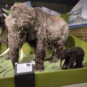 ヒメ日記 2025/09/12 19:19 投稿 ひより 千葉松戸ちゃんこ