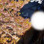 ヒメ日記 2026/03/16 16:45 投稿 ひより 千葉松戸ちゃんこ