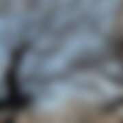 ヒメ日記 2026/03/28 20:24 投稿 ひより 千葉松戸ちゃんこ