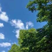 ヒメ日記 2025/06/07 10:56 投稿 みずき 素人妻達☆マイふぇらレディー