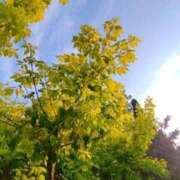 みずき 🌧️🌧️ 素人妻達☆マイふぇらレディー