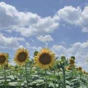 みずき おやすみ🌙 素人妻達☆マイふぇらレディー