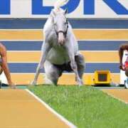 ヒメ日記 2025/05/08 17:58 投稿 アズミ　非現実的な痴女プレイ！！ ドMなバニーちゃん和歌山店