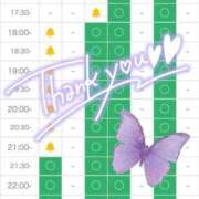 ヒメ日記 2025/08/08 16:37 投稿 アズミ　非現実的な痴女プレイ！！ ドMなバニーちゃん和歌山店