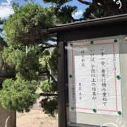 ヒメ日記 2026/10/03 16:14 投稿 アズミ　非現実的な痴女プレイ！！ ドMなバニーちゃん和歌山店