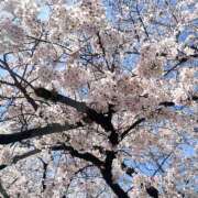 ヒメ日記 2025/04/06 09:36 投稿 にこ 2980円