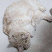 ヒメ日記 2025/07/04 11:53 投稿 にこ 2980円