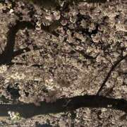 ヒメ日記 2026/04/06 08:53 投稿 にこ 2980円