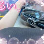 ヒメ日記 2025/09/16 02:21 投稿 るい ぷるりんクエスト上野浅草鶯谷秋葉原デリヘル王国