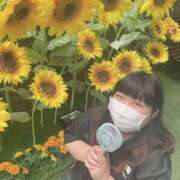 ヒメ日記 2025/08/03 16:33 投稿 ななみ 大高・大府市・東海市ちゃんこ