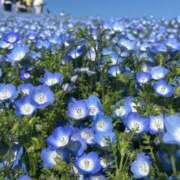 ヒメ日記 2026/05/05 08:02 投稿 ゆめ アラカルト