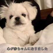 ヒメ日記 2025/02/01 22:01 投稿 しいな 池袋西口でSUGEEE求められる俺のカラダ