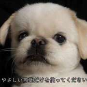 ヒメ日記 2025/02/23 09:28 投稿 しいな 池袋西口でSUGEEE求められる俺のカラダ