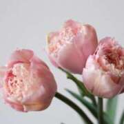 ヒメ日記 2025/05/19 13:41 投稿 しいな 池袋西口でSUGEEE求められる俺のカラダ