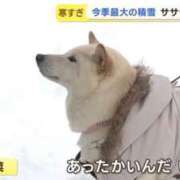 ヒメ日記 2025/12/16 22:54 投稿 しいな 池袋西口でSUGEEE求められる俺のカラダ